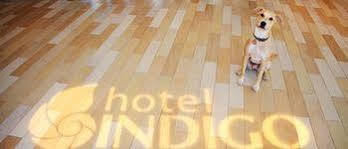 Hotel Indigo Downtown By Ihg